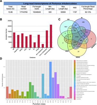 Identification of Neuropeptides Using Long-Read RNA-Seq in the Swimming Crab Portunus trituberculatus, and Their Expression Profile Under Acute Ammonia Stress